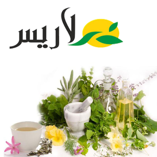 باربریس   Berberis